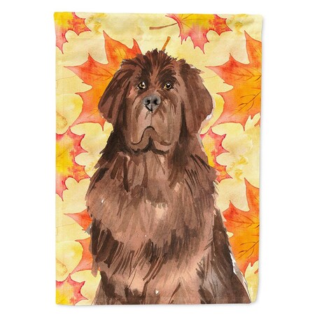 Carolines Treasures Fall Leaves Newfoundland Flag Canvas House Size CK1832CHF